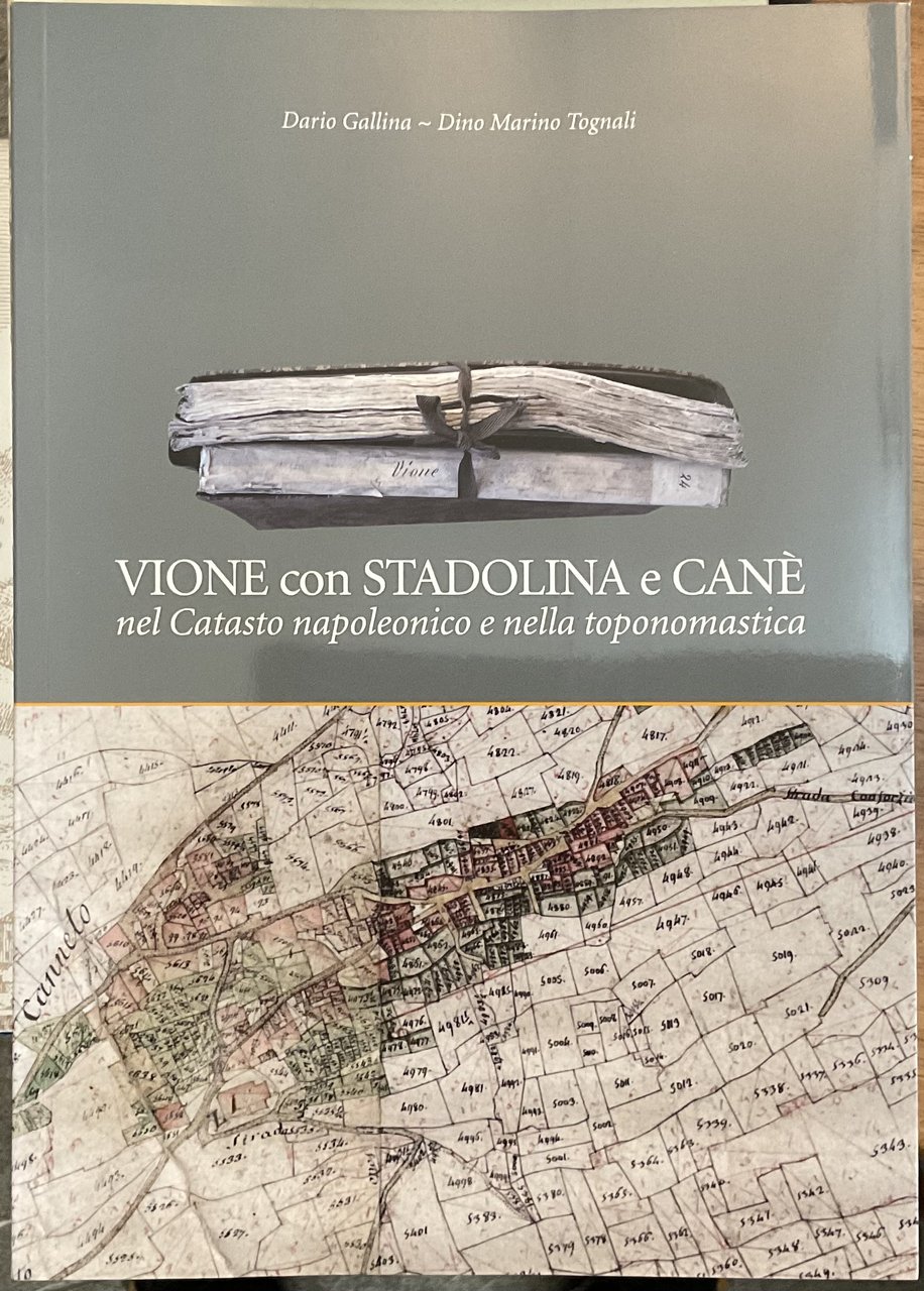 Vione con Stadolina e Canè nel Catasto napoleonico e nella …