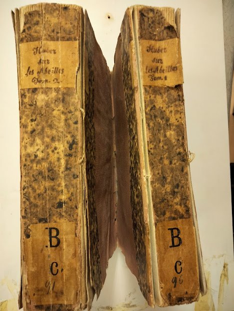 Nouvelles observations sur les Abeilles. Seconde edition, revue, corrigee et …