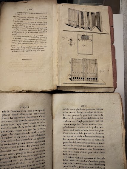 Nouvelles observations sur les Abeilles. Seconde edition, revue, corrigee et …