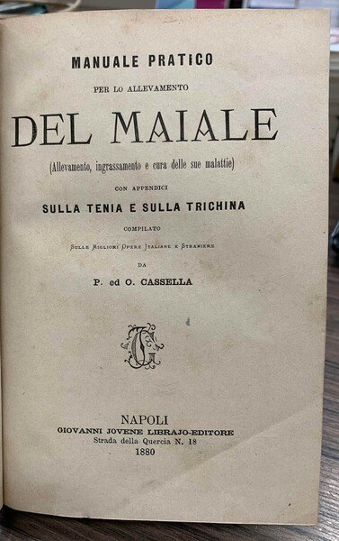 Vita breve di S. Luigi Gonzaga