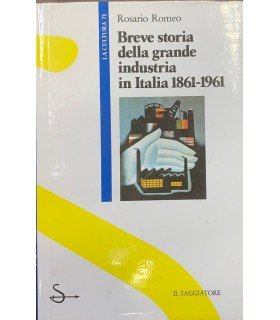 Breve storia della grande industria in Italia 1861-1961.