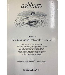 Comete. Paradigmi culturali del secolo borghese.