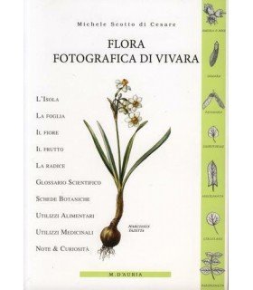 Flora fotografica di vivara.
