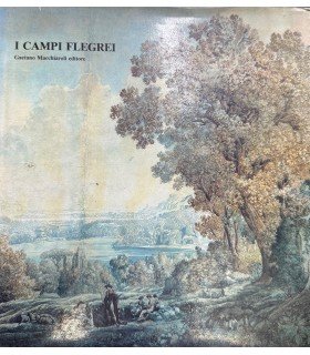 I campi flegrei.
