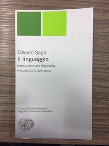 Il linguaggio