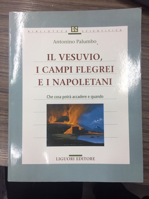Il Vesuvio, i Campi Flegrei e i napoleatani