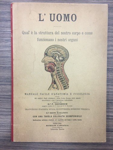 L'uomo. Qual è la struttura del nostro corpo e come …