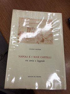Napoli e i suoi castelli