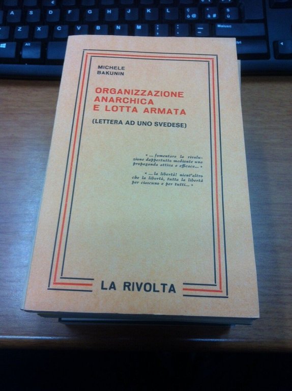 Organizzazione anarchica e lotta armata