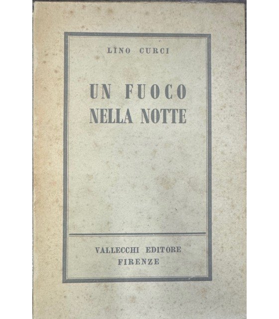 Un fuoco nella notte. | Immagine principale