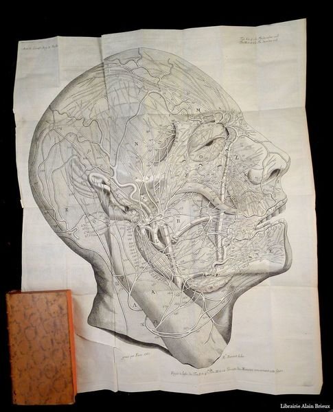 Mémoires de l'Académie royale de Prusse contenant l'anatomie, la physiologie, …