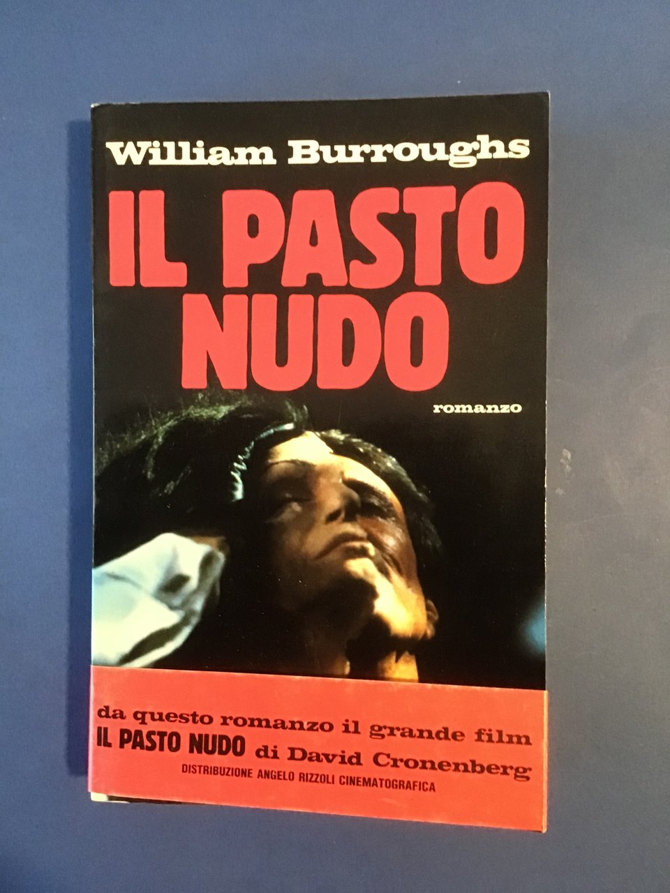 IL PASTO NUDO