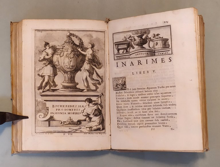 Inarime seu de Balneis Pithecusarum. Libri VI.