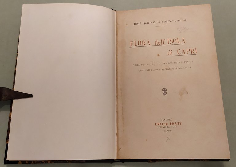 Flora dell'Isola di Capri ossia guida per la ricerca delle …