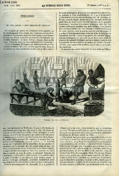 La science pour tous n° 5-6 - Les ours captifs, leur dressage en Lithuanie, Recherches sur la maturation des céréales par Edgard Hément, Sur l'existence du cuivre dans certaines eaux potables, Méthode pour remédier aux déviations de la colonne vertébrale