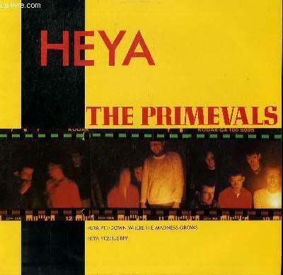 DISQUE VINYLE MAXI 45T DOWN WHERE THE MADNESS GROWS / …