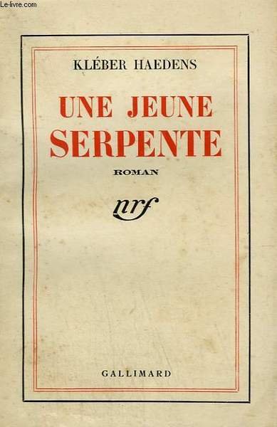 UNE JEUNE SERPENTE.