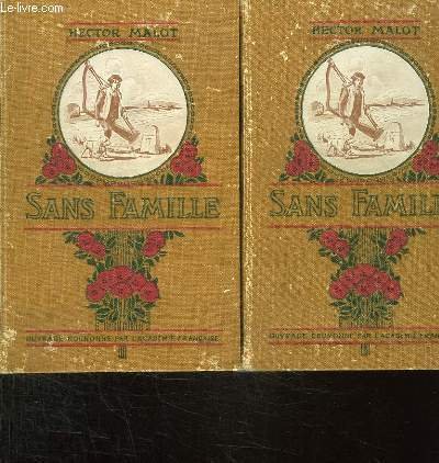 2 TOMES . SANS FAMILLES. | Immagine principale