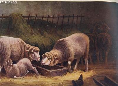 FAC SIMILE TABLEAU REPRESENTANT SCENE CHAMPETRE : MOUTONS, ALLAITEMENT ET …