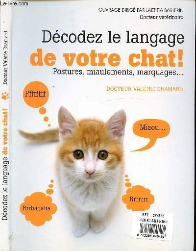 DECODEZ LE LANGAGE DE VOTRE CHAT ! - POSTURES, MIAULEMENTS, …