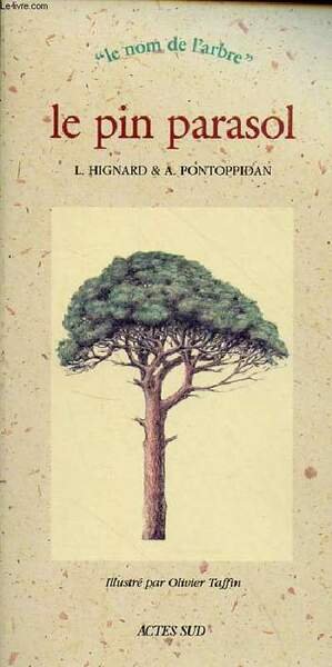 Le pin parasol - Collection le nom de l'arbre.