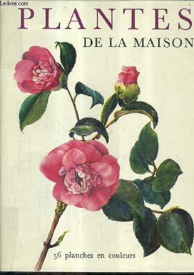 PLANTES DE LA MAISON.