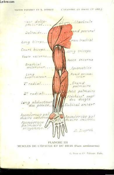 L'ANATOMIE EN POCHE. 4e EDITION REVUE ET AUGMENTEE. 424 PLANCGES | Immagine principale