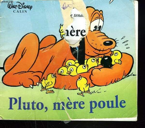 UN MOMENT DE TENDRESSE AVEC PLUTO, MERE POULE. | Immagine principale