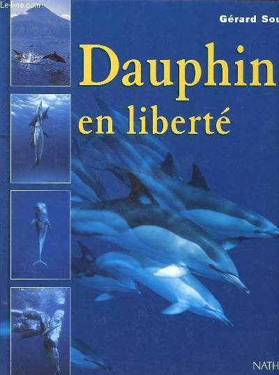 Dauphins en liberté | Immagine principale