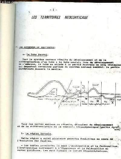 Les territoires Néocorticaux - cours - texte à la machine … | Immagine principale