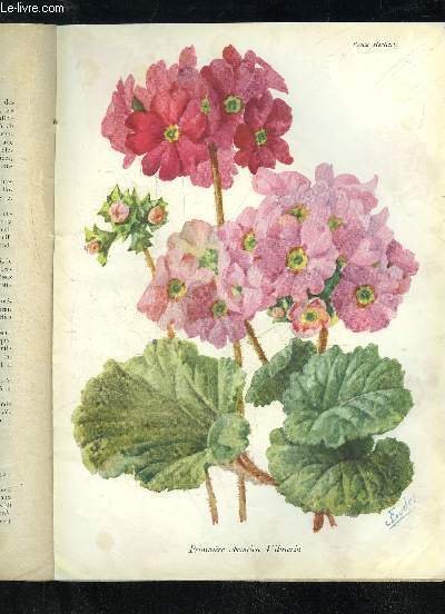 LA REVUE HORTICOLE 1933 N° 23 - H. Martinet, j,F.Lesourd. ' Chronique horticole.Emile Jahandiez. — Les Plantes grasses autres que les Cactées : les Aloês et genres voisins [suite).G.Bellair. — Faits et commentaires : Le-s opinions sur l’Asperge.G. Clément