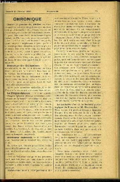 LE PETIT JARDIN ILLUSTRE N° 68 - Chronique ; Culture …
