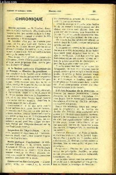 LE PETIT JARDIN ILLUSTRE N° 153 - Les amorpha, A. Gourlot ; Kopsia Fucticosa, J. Luquet ; Culture de l'impatiens sultani en plein air, E. Berger ; Au sujet des cyperus, Albert Maumené ; Hivernage des artichauts, P. Lepage ; Culture des lis, Ernest Bergman