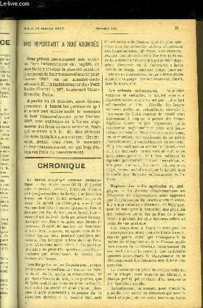 LE PETIT JARDIN ILLUSTRE N° 167 - Chronique ; M. Ferdinand Bergman, H. Martinet ; L'aération des serres a pelargonum, A. Gouellain ; Conservation des jeunes tubercules de Dahlia, Henri Theulier fils ; Les ficoides, L. Le Clerc ; La plaine maraichère des
