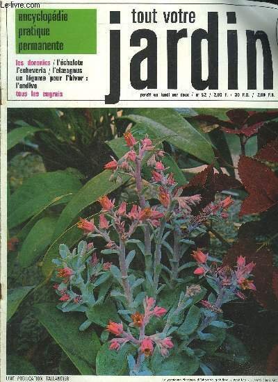 TOUT VOTRE JARDIN N°52 - Les doronics - l'échalote - … | Immagine principale