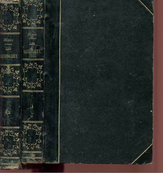 LES SAINTS LIEUX - TOMES 1 ET 2 - PELERINAGE … | Immagine principale