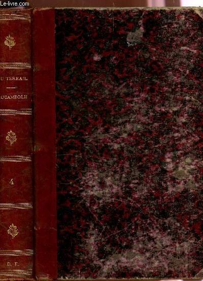 ROCAMBOLE | Immagine principale