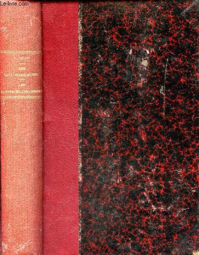 POESIE - TOME IV - LES VOIX INTERIEURES LES RAYONS …