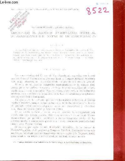 Descripcion de algunos nummulites afines al N.Perforatus del eoceno de …