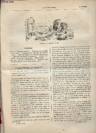 La Terre Sainte n°58 4e série 10e année n°213 15 mai 1884 - L'Angleterre en Orient - étude sur les noms bibliques (suite) - le patriarcat de Jérusalem et ses titulaires (suite) - administrateurs pendant la vacance du siège de Jérusalem (639-705) etc.