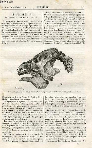 La nature n° 20 - Le mégathérium du muséum d'histoire naturelle, Les plus grands télescopes du monde par Camille Flammarion, La flore carbonifère du département de la Loire, Les criquets dévastateurs par Maurice Girard, Les cyclones par F. Zurcher