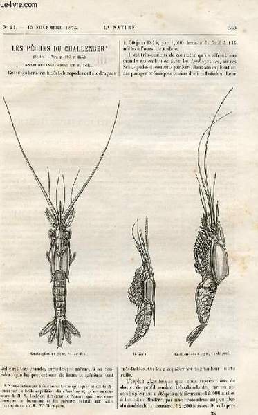 La nature n° 24 - Les pêches du challenger, Les plus grands télescopes du monde par Camille Flammarion, Les poissons de Chine exposés au congrès des orientalistes par E.S., Expéditions scientifiques de Khiva, l'amou daria et la mer d'aral par Gaston
