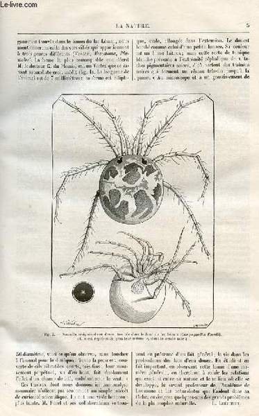 La nature n° 79 - Le beurre artificiel par Gaston Tissandier, La faune profonde du lac Léman, La parallaxe du soleil par Camille Flammarion, Les tumuli du vieil upsal en Suède, Congrès internationaux séricicole et viticole de Montpellier, Sur quelques