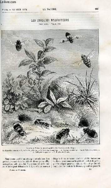La nature n° 115 - Les insectes malfaiteurs par Maurice …