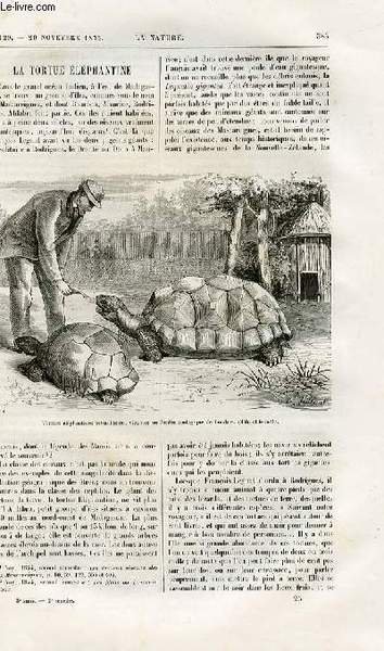 La nature n° 129 - La tortue éléphantine par Dr E. Sauvage, La disclocation des cieux par Camille Flammarion, Le vivier des homards a Roscoff, Effet mécanique des rayons calorifiques et lumineux