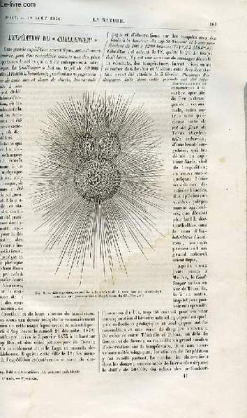 La nature n° 167 - L'expédition du challenger, Colonne verticale de lumière observée au coucher du soleil par Amédée Guillemin, Des hauteurs barométriques dans l'océan atlantique par E. Margollé, Roche d'origine végétale a l'ile de la Réunion