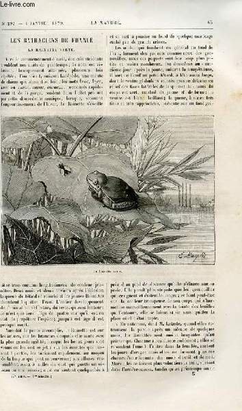 La nature n° 292 - Les batraciens de France, la rainette verte par E. Sauvage, Le ciel en 1879 par Camille Flammarion, L'Afghanistan par Richard Cortambert, Société de biologie, Eclairs observés au Brésil par Léon Dumas