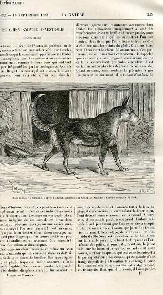 La nature n° 432 - Le chien sauvage d'Australie par …