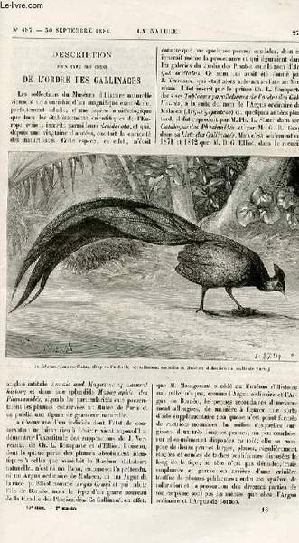 La nature n° 487 - Description d'un type peu connu … | Immagine principale