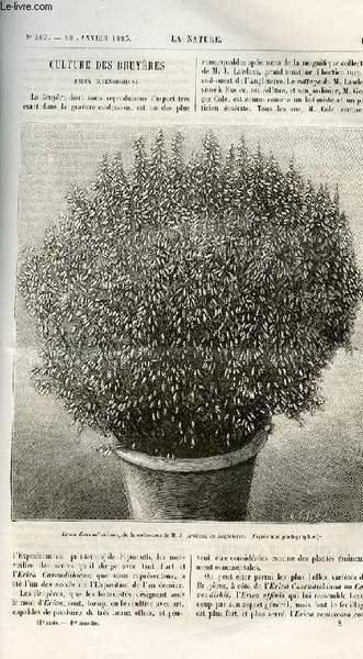 La nature n° 503 - Culture des bruyères, Le frein … | Immagine principale